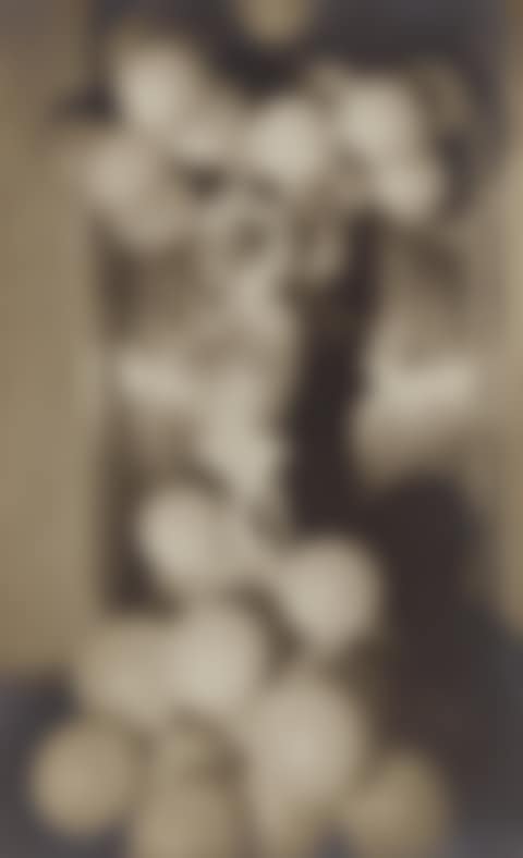 Countess Celani at the Bal Blanc (preview)