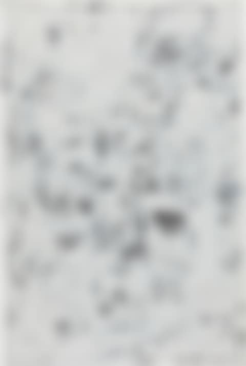 Untitled (WFWC) (preview)
