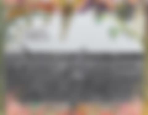 Giraffes and Zebras (preview)