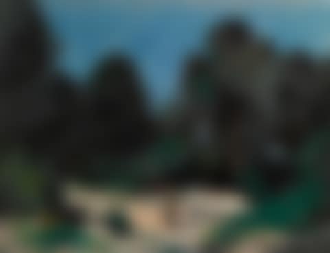 CHEMIN ANIMÉ EN PROVENCE (preview)