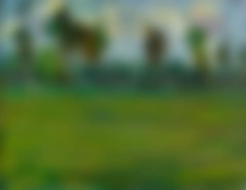 PAYSAGE (preview)