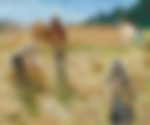 LES FENAISONS (preview)