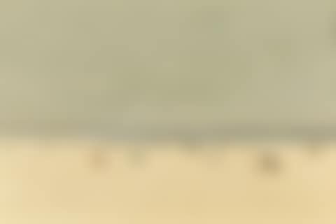 SAND, SEA AND SKY, A SUMMER PHANTASY (preview)