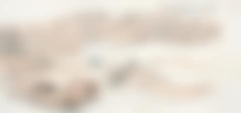 LANDSCAPE (preview)