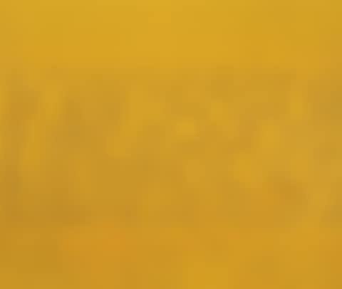 Chicken (preview)