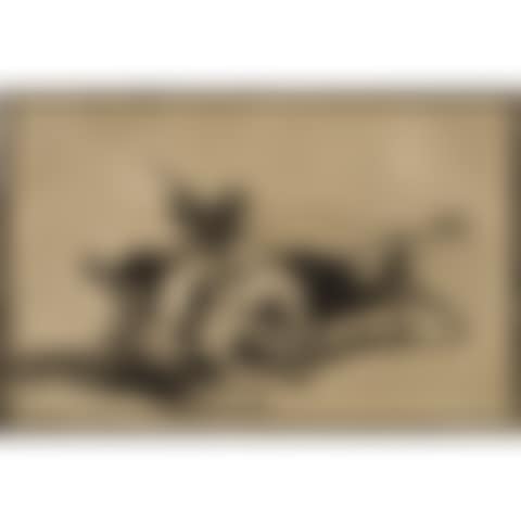 BULLSHIT (preview)