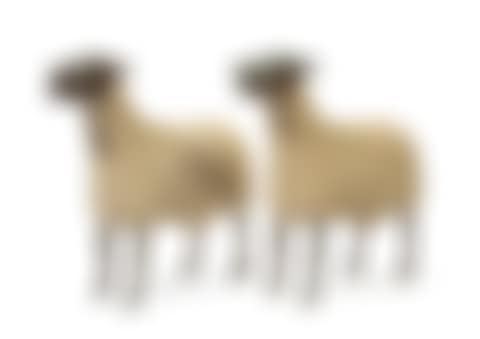 Moutons de Pierre (preview)