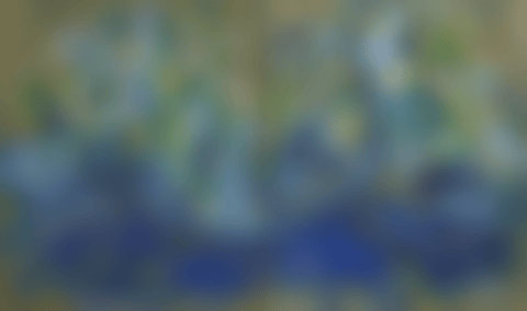 NYMPHÉAS (DIPTYCH) (preview)