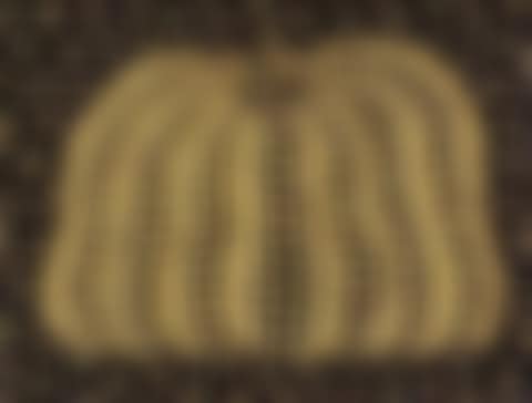 Pumpkin (preview)