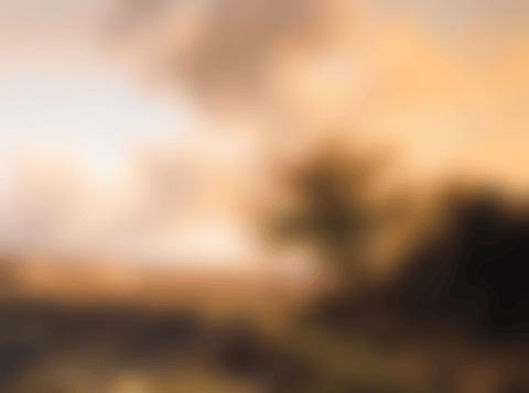 Summer landscape (preview)