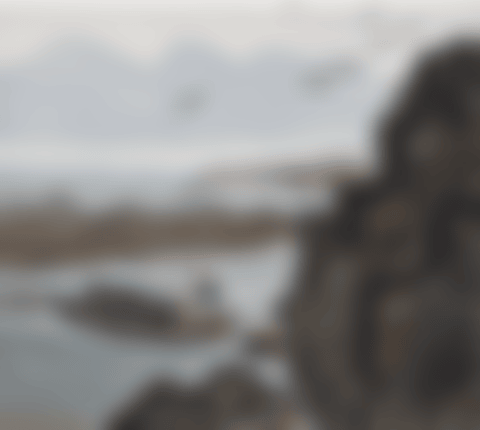 SCENE NEAR SEASHORE (preview)