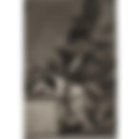 LES CAPRICES: plates 1, 13, 17, 31, 43, 51. (Harris 36, 48, 52, 68, 78 (IIIrd edition before the bevels), 86) (preview)