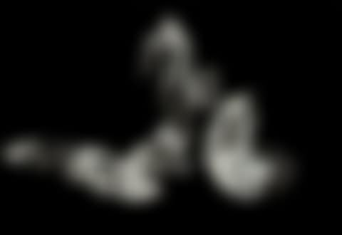 Pelican (preview)