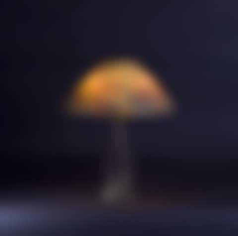 Fine & Rare Handel Daffodil Lamp (preview)