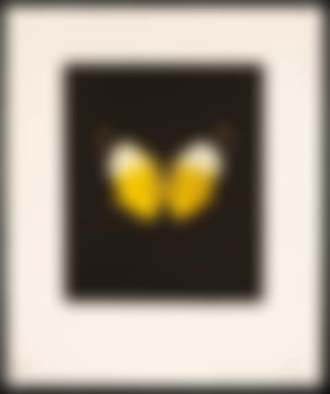 "Reveal" (preview)