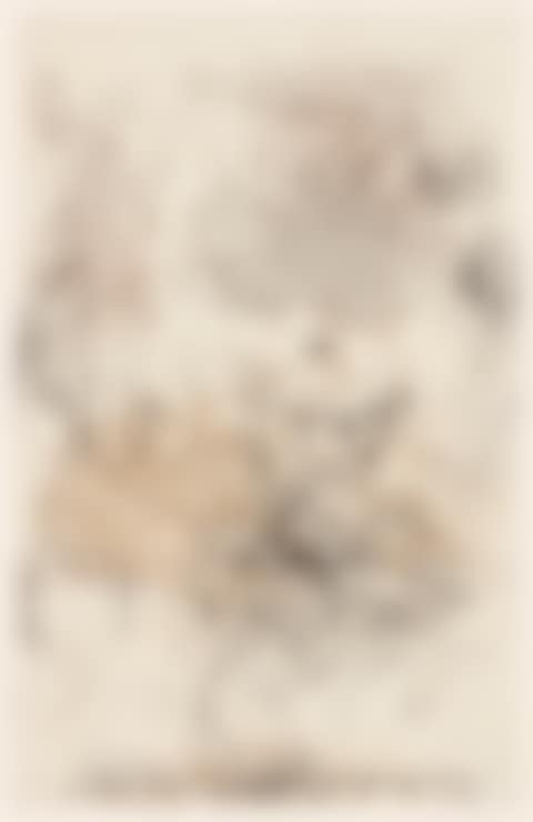 Sunflower VII (preview)