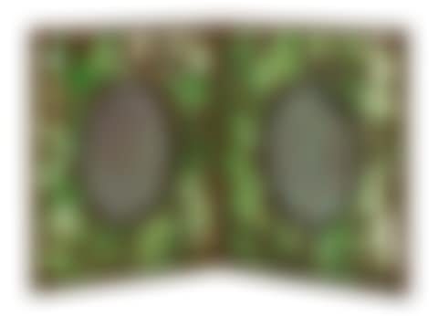 Double Picture Frame (preview)