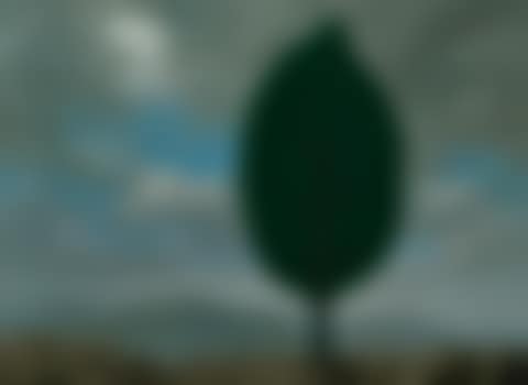 La plaine de l"air (The plain of the air) (preview)