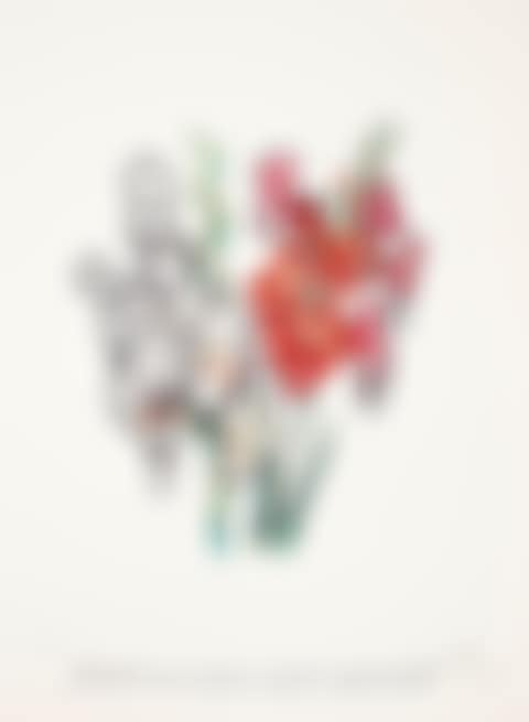 Gladiolus, from Florals (Field 72-7-G), 1972 (preview)