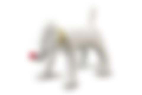 Doggy Radio (preview)