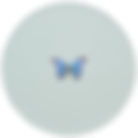 Capricorn (preview)