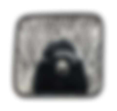 untitled "Police Van Chimp" (preview)