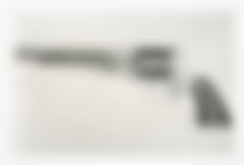 Gun (Remington Model 1858) (preview)
