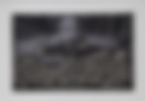 Sunflower Seeds (preview)
