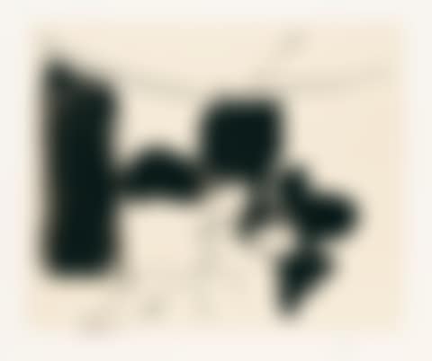 The Paris Review  (preview)