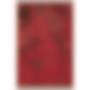 Work 1 (preview)