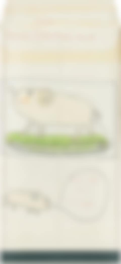 Untitled (preview)
