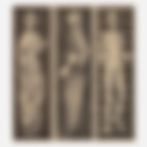 The Advocate; The Bride; The Suitor (triptych) (preview)