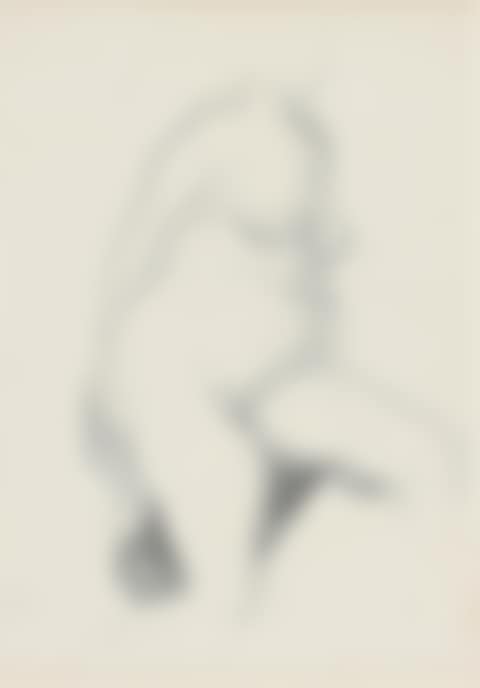 Model study (preview)