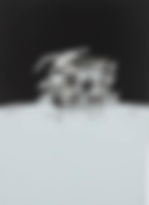 Untitled (preview)