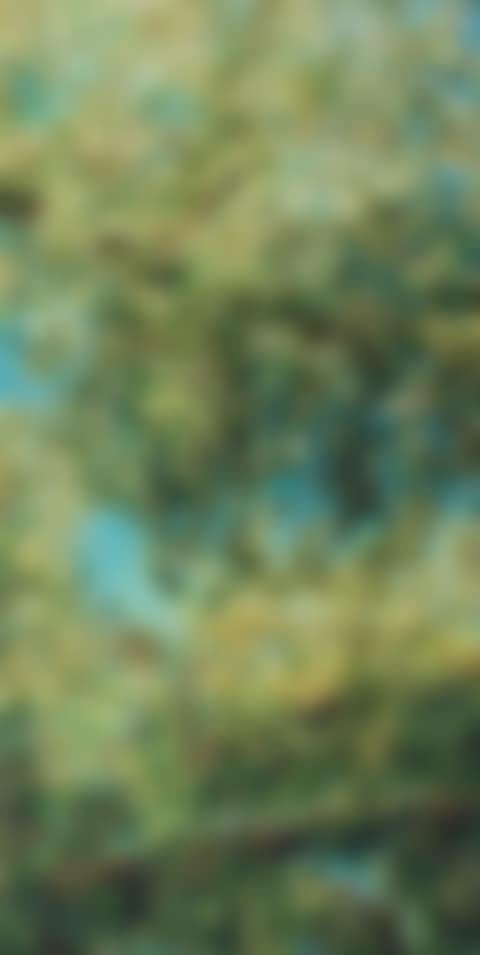 Santa Fe (preview)