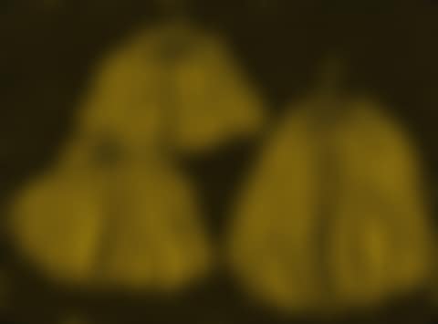 Three Pumpkins (preview)