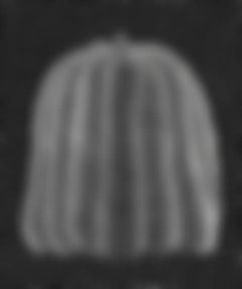 Pumpkin (White T) (preview)