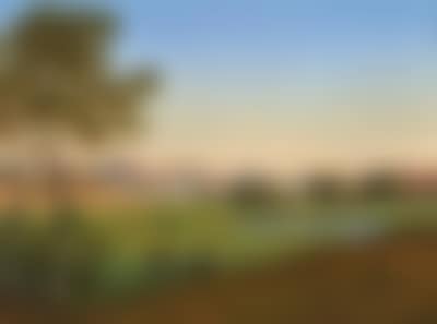 A View of the City of Schwerin (preview)