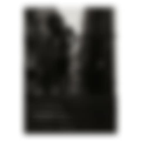 Child Standing on Fire Escape (from "East 100th Street") (preview)