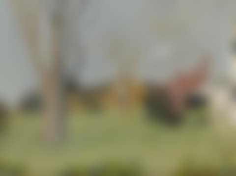 Two Trees (preview)