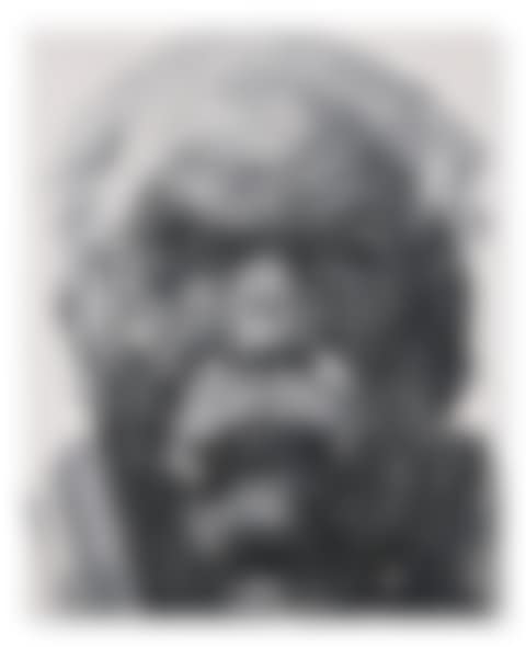 Roger Vanthournout (preview)
