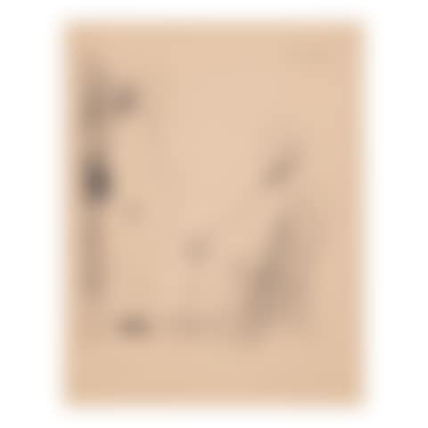 Femme Nue et Homme à la Canne, from Picasso - dessins 27.3.66 to 15.3.68 (Bloch 1464, Mourlot 407, Cramer bk. 145) (preview)