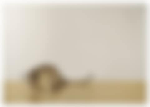 Il telefono (preview)