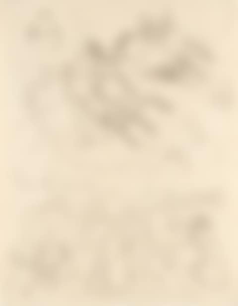 recto: Höhenflug (Sie sind Minister nun)(Soaring (You are a Minister now)); verso: Früchtestillleben (Fruit Still Life) (preview)