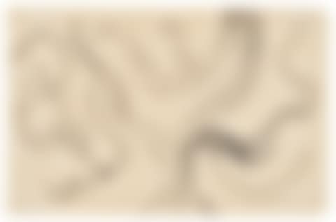 Tree (II) (preview)