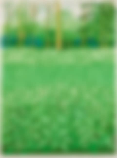 The Arrival of Spring in Woldgate, East Yorkshire in 2011 (twenty eleven) - 6 May (preview)
