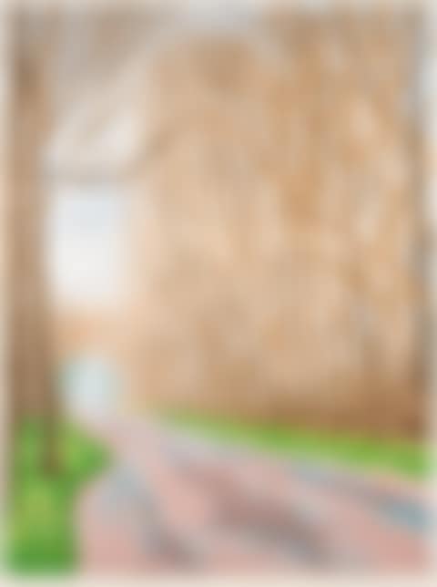 The Arrival of Spring in Woldgate, East Yorkshire in 2011 (twenty eleven) - 1 April (preview)