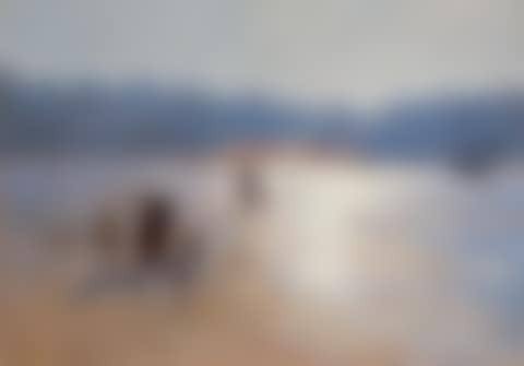 Collecting Mussels at Low Tide at Le Portel, France (preview)