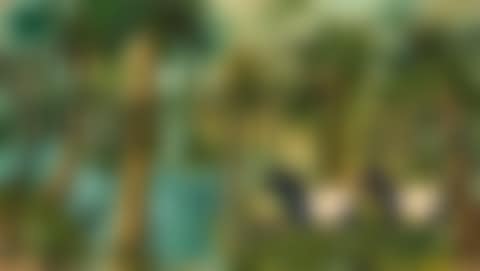 “Tapirpar med unge ved skovsø” (Tapir couple with young by a forest lake) (preview)