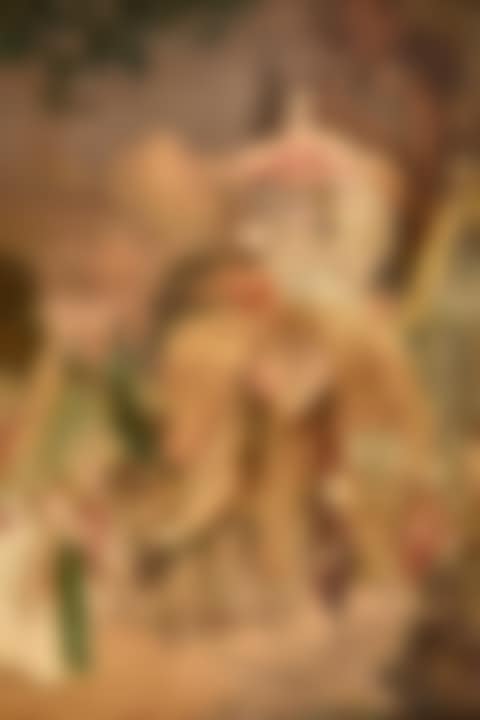 An elephant procession with the Maharaja (preview)